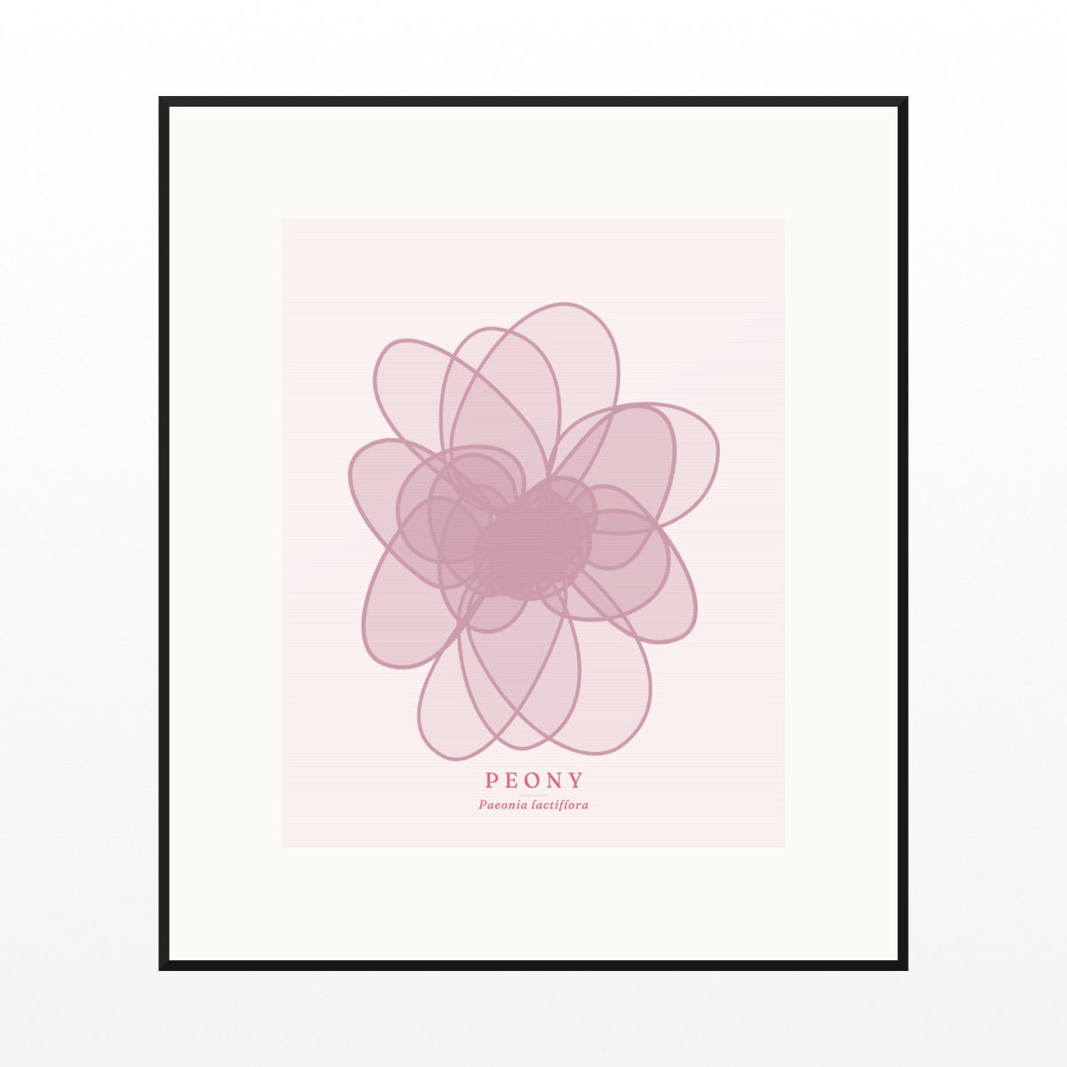 Blush Whisper Peony Art Print – Fine Art Giclée Digital Download | Signed 50-Edition — Black gallery mat