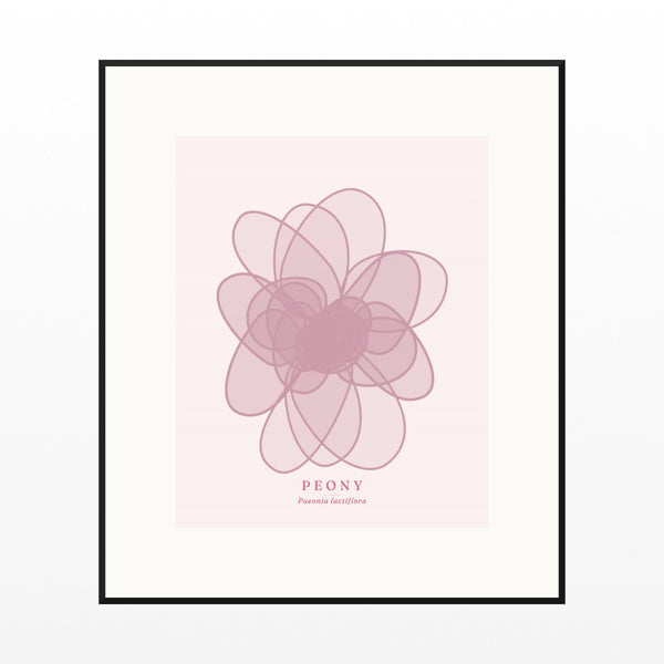 Blush Whisper Peony Art Print – Fine Art Giclée Digital Download | Signed 50-Edition — Black gallery mat