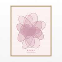 Blush Whisper Peony Art Print – Fine Art Giclée Digital Download | Signed 50-Edition — Floating natural frame