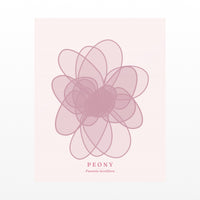 Blush Whisper Peony Art Print – Fine Art Giclée Digital Download | Signed 50-Edition — Unframed flat preview