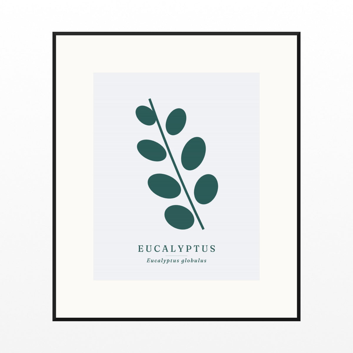 Eucalyptus Wall Art Print – Signed Limited Edition Giclée | Modern Gallery Decor — Black gallery mat