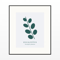 Eucalyptus Wall Art Print – Signed Limited Edition Giclée | Modern Gallery Decor — Black gallery mat