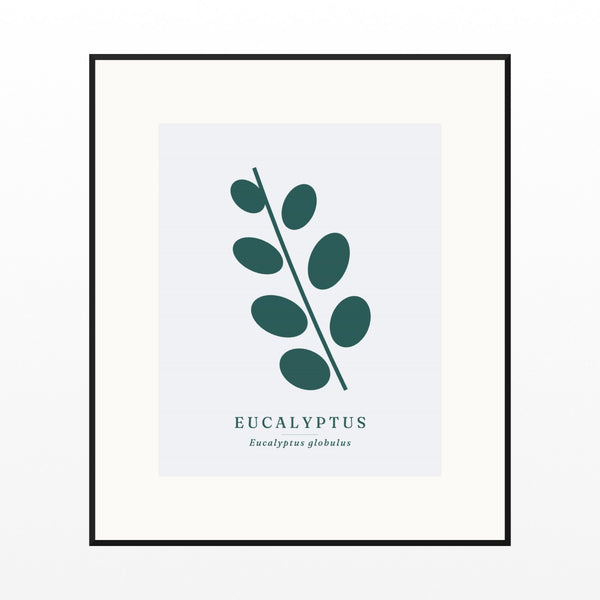 Eucalyptus Wall Art Print – Signed Limited Edition Giclée | Modern Gallery Decor — Black gallery mat