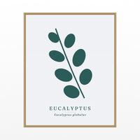Eucalyptus Wall Art Print – Signed Limited Edition Giclée | Modern Gallery Decor — Floating natural frame