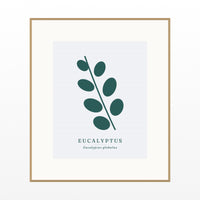 Eucalyptus Wall Art Print – Signed Limited Edition Giclée | Modern Gallery Decor — Natural gallery mat