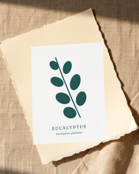 Eucalyptus Wall Art Print – Signed Limited Edition Giclée | Modern Gallery Decor — Paper/edge detail