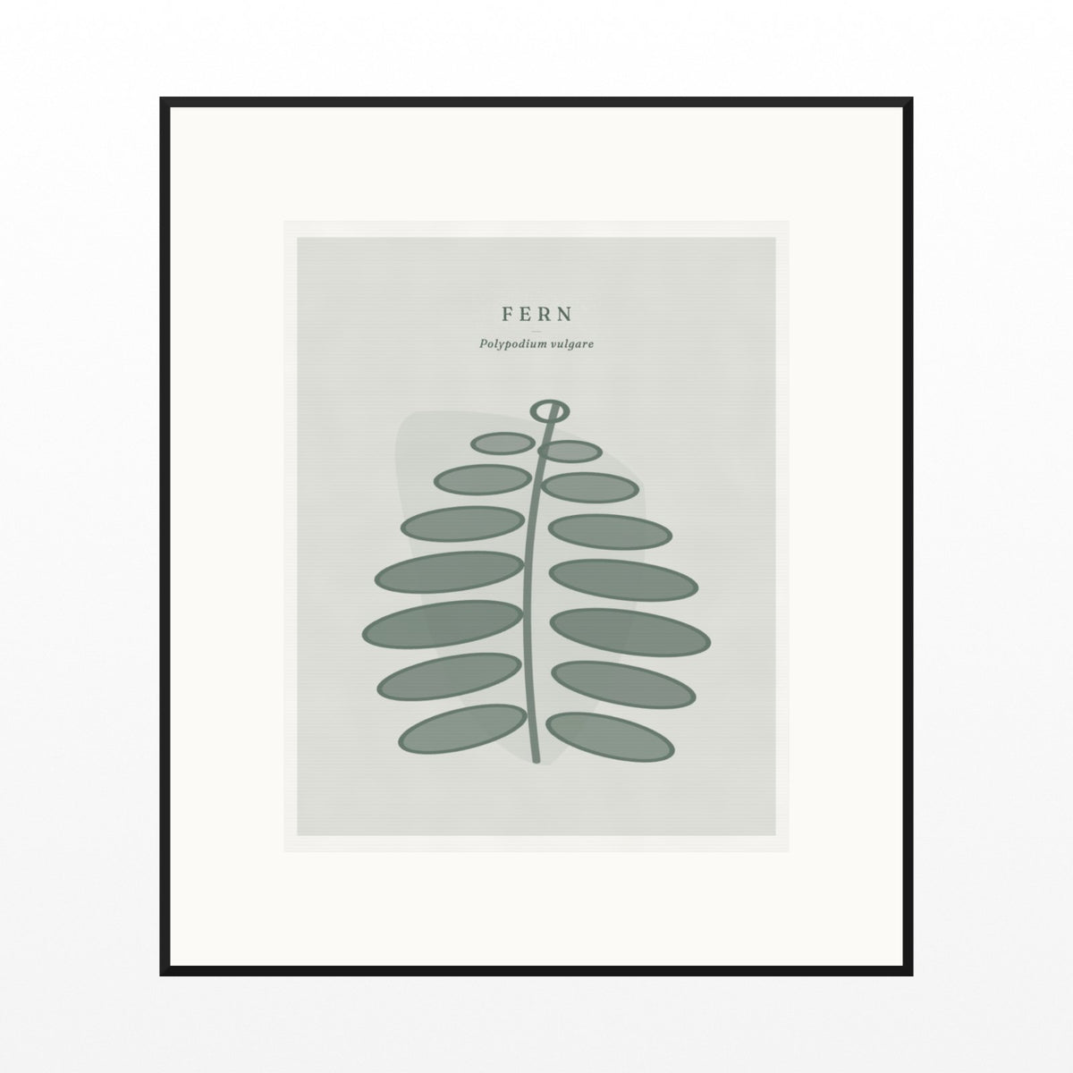 Soft Sage Fern Art Print – Fine Art Giclée Digital Download | Signed 50-Edition — Black gallery mat
