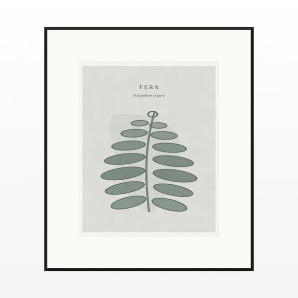Soft Sage Fern Art Print – Fine Art Giclée Digital Download | Signed 50-Edition — Black gallery mat