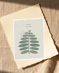 Soft Sage Fern Art Print – Fine Art Giclée Digital Download | Signed 50-Edition — Paper/edge detail