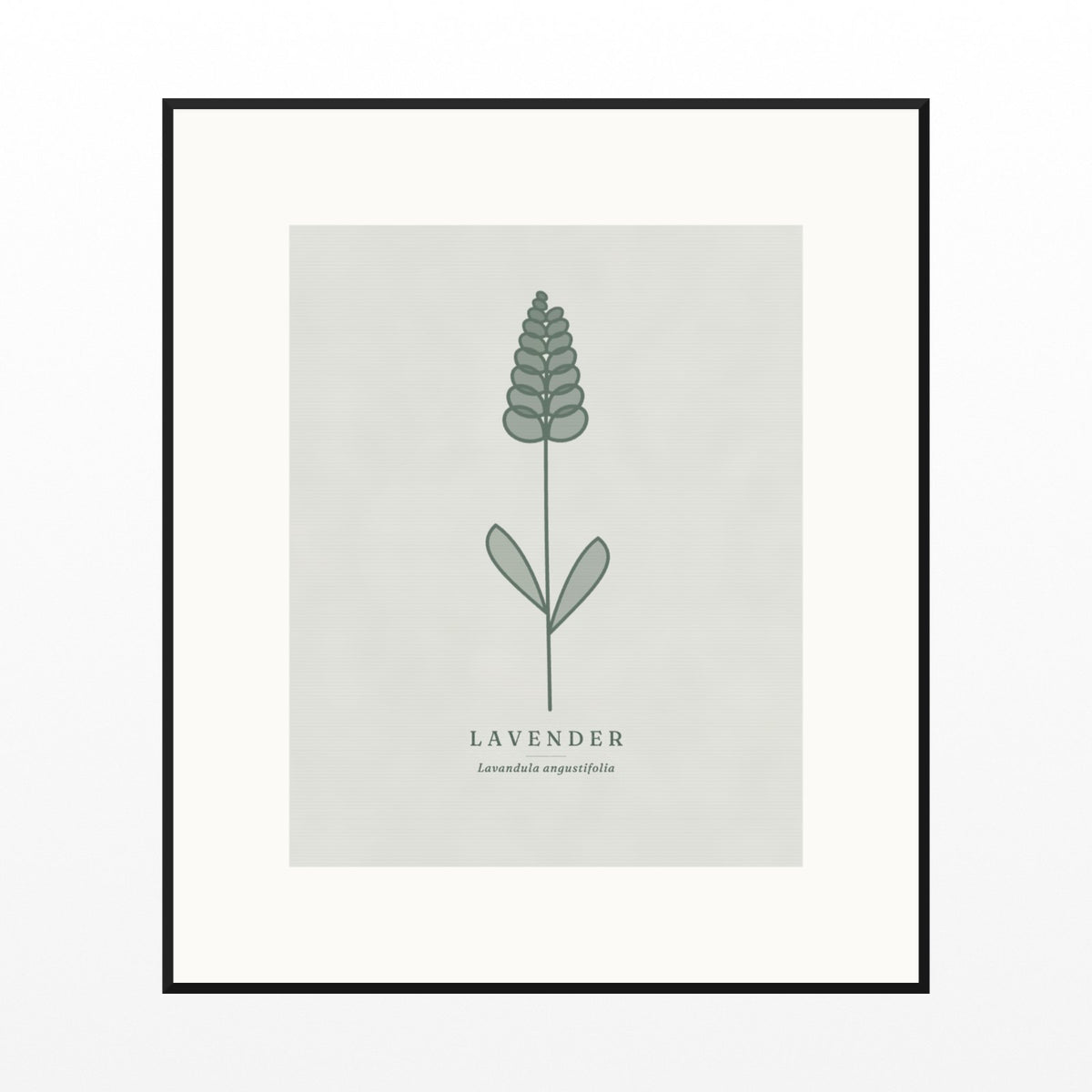 Soft Sage Lavender Printable Wall Art – Limited Edition Giclée Art Print | Instant Digital Download — Black gallery mat