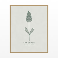 Soft Sage Lavender Printable Wall Art – Limited Edition Giclée Art Print | Instant Digital Download — Floating natural frame